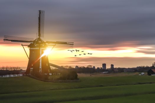 Warm and vibrant sunrise over the Unesco world heritage windmill in Leidschendam, Kinderdijk, Netherlands 