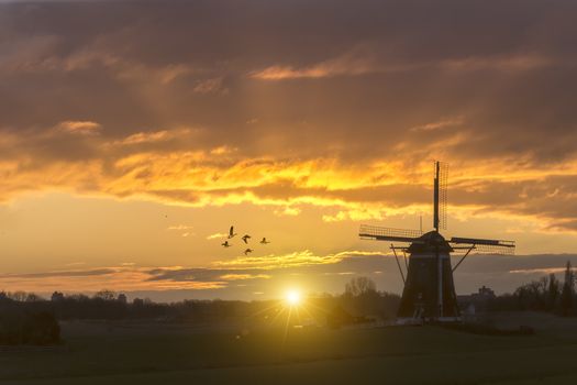 Warm and vibrant sunrise over the Unesco world heritage windmill in Leidschendam, Kinderdijk, Netherlands 