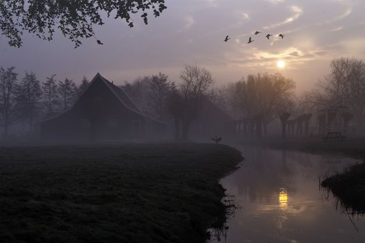 Ducks flying over a beautiful typical Dutch wooden houses architecture at the sunrise moment mirrored on the calm canal of Zaanse Schans located in the North of Amsterdam, Netherlands