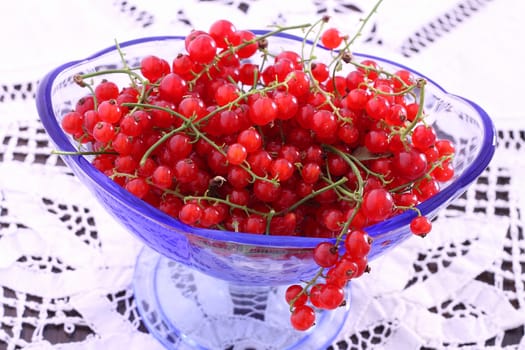 Red Currant in blue glass bowl