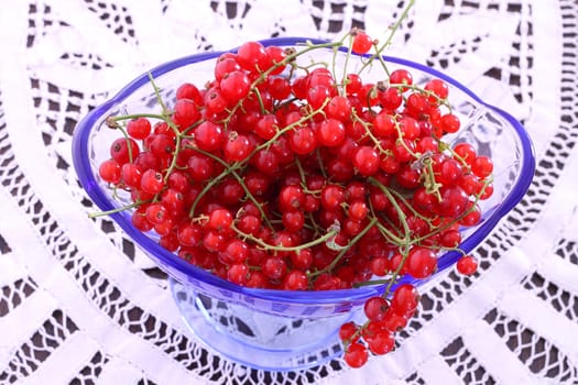 Red Currant in blue glass bowl