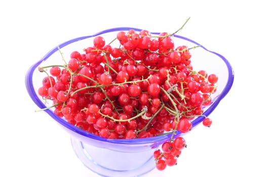 Red Currant in blue glass bowl