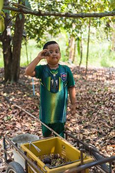 Prachinburi, Thailand - April 7, 2019 : Unidentified young farmer and Mangosteen in Thailand and asia fruit have a sweet can buy at Thai street food and fruit market at agriculture farm