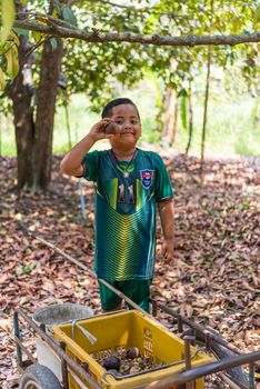 Prachinburi, Thailand - April 7, 2019 : Unidentified young farmer and Mangosteen in Thailand and asia fruit have a sweet can buy at Thai street food and fruit market at agriculture farm