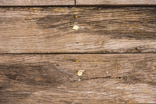 The old wood texture with natural patterns background with rusty nails. wooden texture. surface vintage tone.wooden texture background
