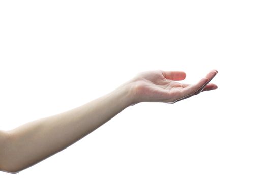 Beautiful woman's hand isolated on white background. Palm up, open the palm of the hand.