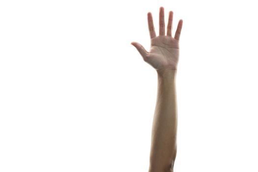 Hands raised in the air mean support, surrender or voting isolated on white background.