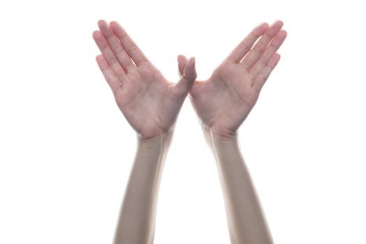 Woman hand shaped bird fly on white isolated background.