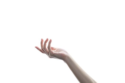 Beautiful woman's hand isolated on white background. Palm up, open the palm of the hand.