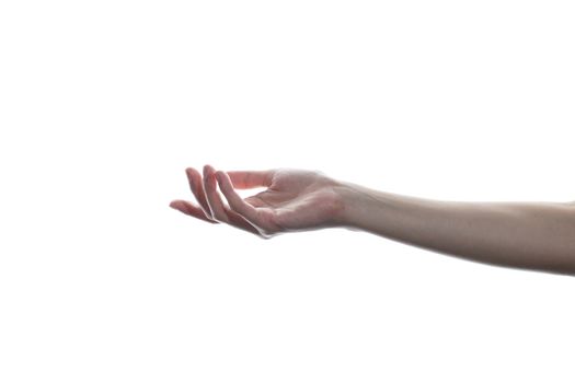 Beautiful woman's hand isolated on white background. Palm up, open the palm of the hand.
