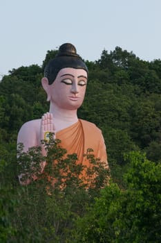 Chanthaburi, Thailand - January 1, 2016 : Thai buddha statue at Thai forest temple (Wat Pa) in the Na Yai Am District of Chanthaburi, Thailand.