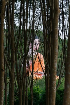 Chanthaburi, Thailand - January 1, 2016 : Thai buddha statue at Thai forest temple (Wat Pa) in the Na Yai Am District of Chanthaburi, Thailand.