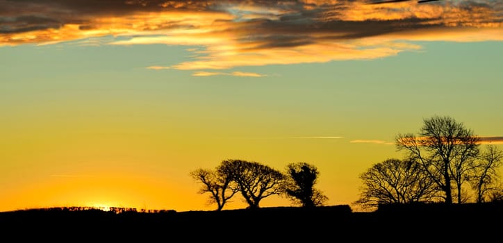 Images of Countryside and Coast.