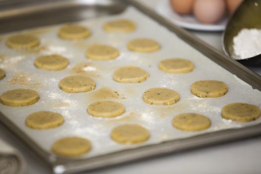 Fresh macadamia nut cookies in a tray ready to bake. At back there is some ingredients such as flour, eggs. The cookies are on an oven paper to keep them of sticking. Flour sprinkled all over the tray. Depth of field.