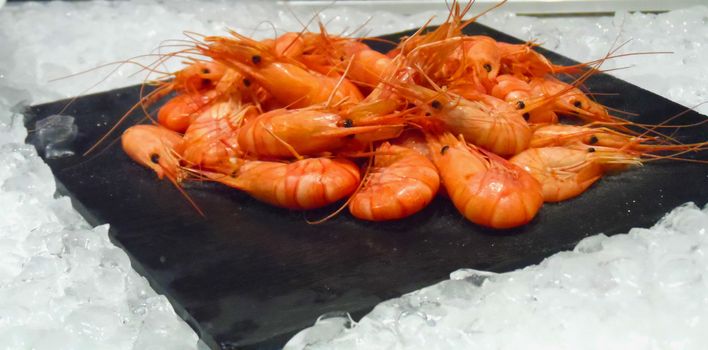 Prawns on Ice. Fotografía de Gema Ibarra. Prohibida su utilización para cualquier uso sin autorización.Todos los derechos reservados.