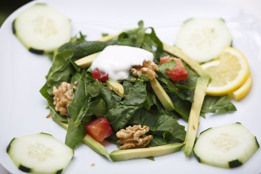 Spinach salad with lox and avocado.