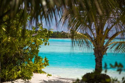 Path to the Paradise. Small Path of Sand with Vegetation at Side which leads to a beautiful colorful beach.