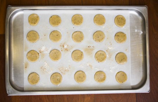 Fresh macadamia nut cookies in a tray ready to bake. The cookies are on an oven paper to keep them of sticking.  Flour sprinkled all over the tray.The view is overhead.