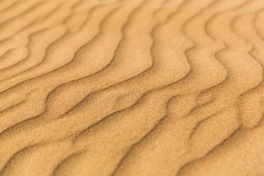 Small waves in desert