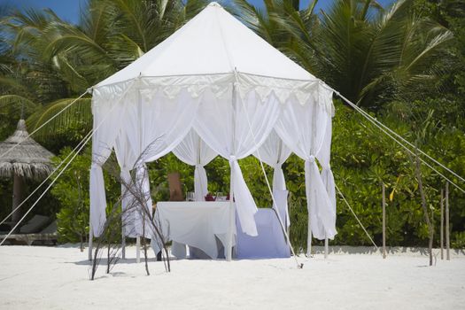 Dining table in the beach in Maldives. The table is right on the shore with a lot of vegetation at background.