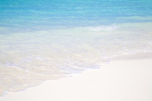 Detail of tropical beach in paradise with clear crystal water in Maldives. Beautiful tones of turquoise in the sea.