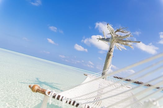 Hammock hold by a white tree in a shallow and clear sea on the lagoon in Maldives.