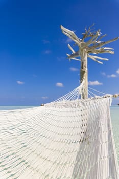 Hammock hold by white tree in a shallow and clear sea.