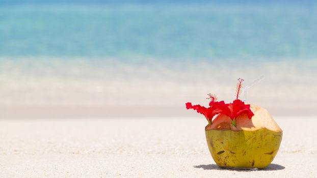 Coconut on shore in Maldives. Clear straw decorated with a beautiful red flower.
