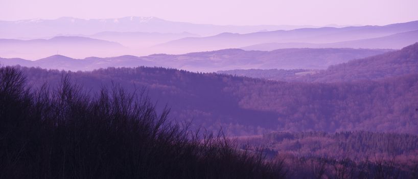 Beautiful morning in the mountains with little of fog at background. Color purple.