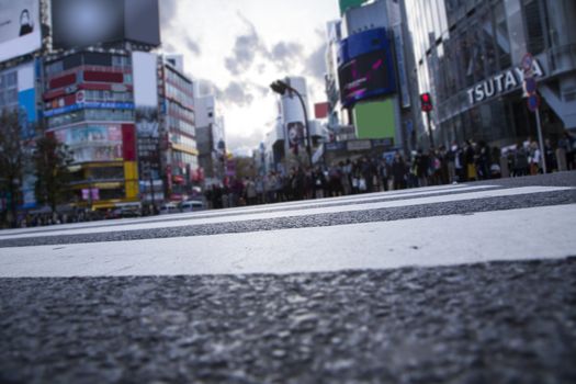 Shibuya cross from bottom view