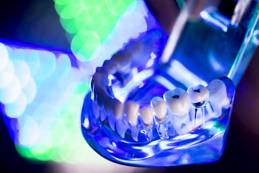 Denture for students on colored background