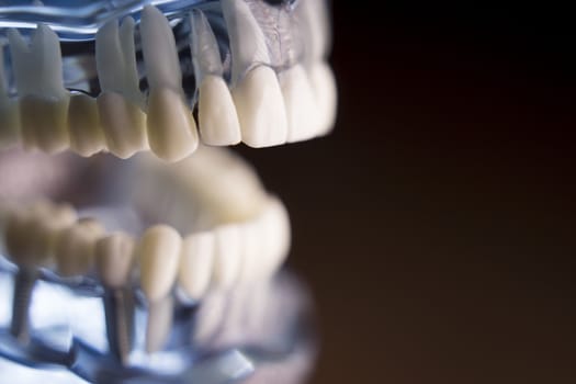 Denture for students on colored background