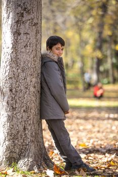 Boy in the park leaning in a tree.