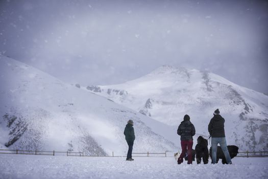 Group of people having fun in the snow