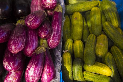 Zuchinni and eggplant  