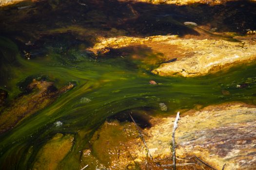 Algae flowing along a river in Rio Tinto, Huelva