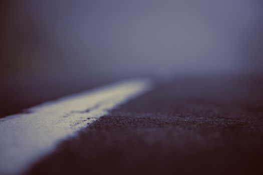 Beautiful vintage photographs from low angle of a road.