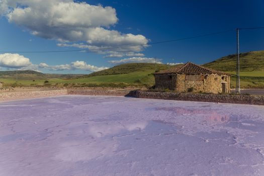 Pink salt basin in the front and green mountains in background with a clear blue sky. 