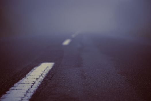 Beautiful vintage photographs from low angle of a road.