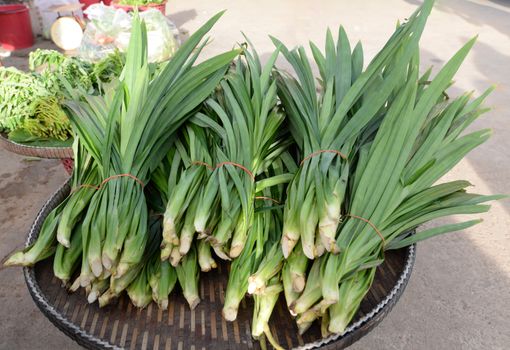 Pandan on a basket Sold in a rural market in Thailand.