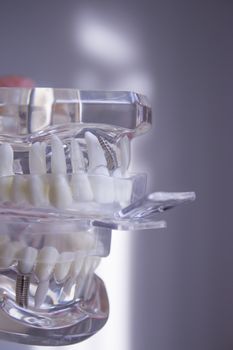 Silicone molds to make dentures inside a false mouth