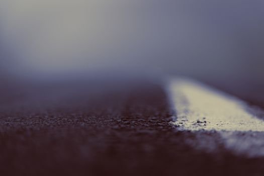 Beautiful vintage photographs from low angle of a road.