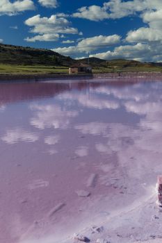 Pink salt basin in the front and green mountains in background with a clear blue sky. 