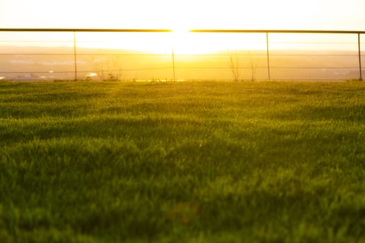 Golden hour, bottom view of a park with the sun in the front.