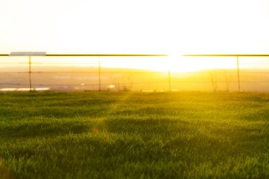 Golden hour, bottom view of a park with the sun in the front.