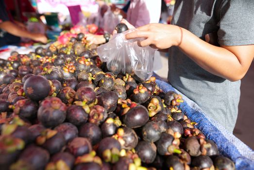 Ladies are buying mangosteen from the market stalls.
