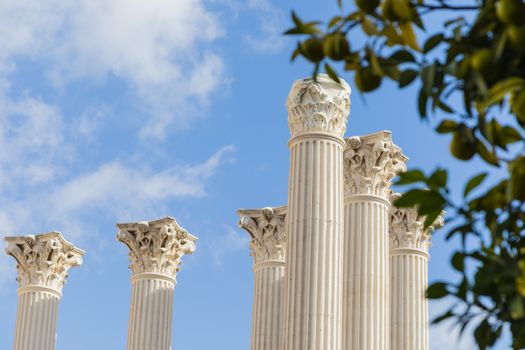 corinthian columns style reaching out for the sky in outdoors.