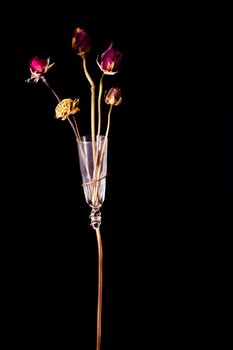 Dark dried flowers in a glass vase