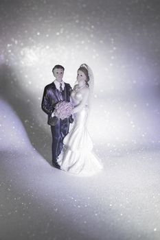 Newlyweds embraced bride and groom