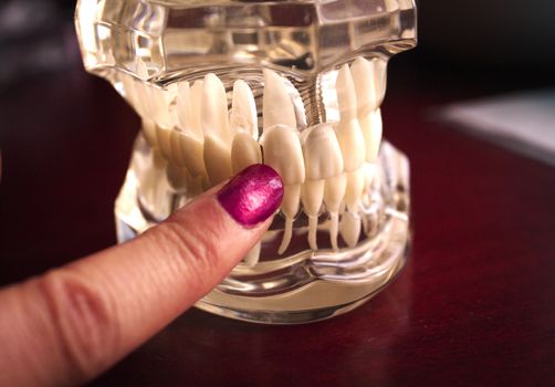Denture pointed by fingers of woman